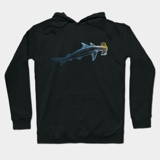 Beautiful Colors Swimming Hammerhead Shark Lovers Hoodie